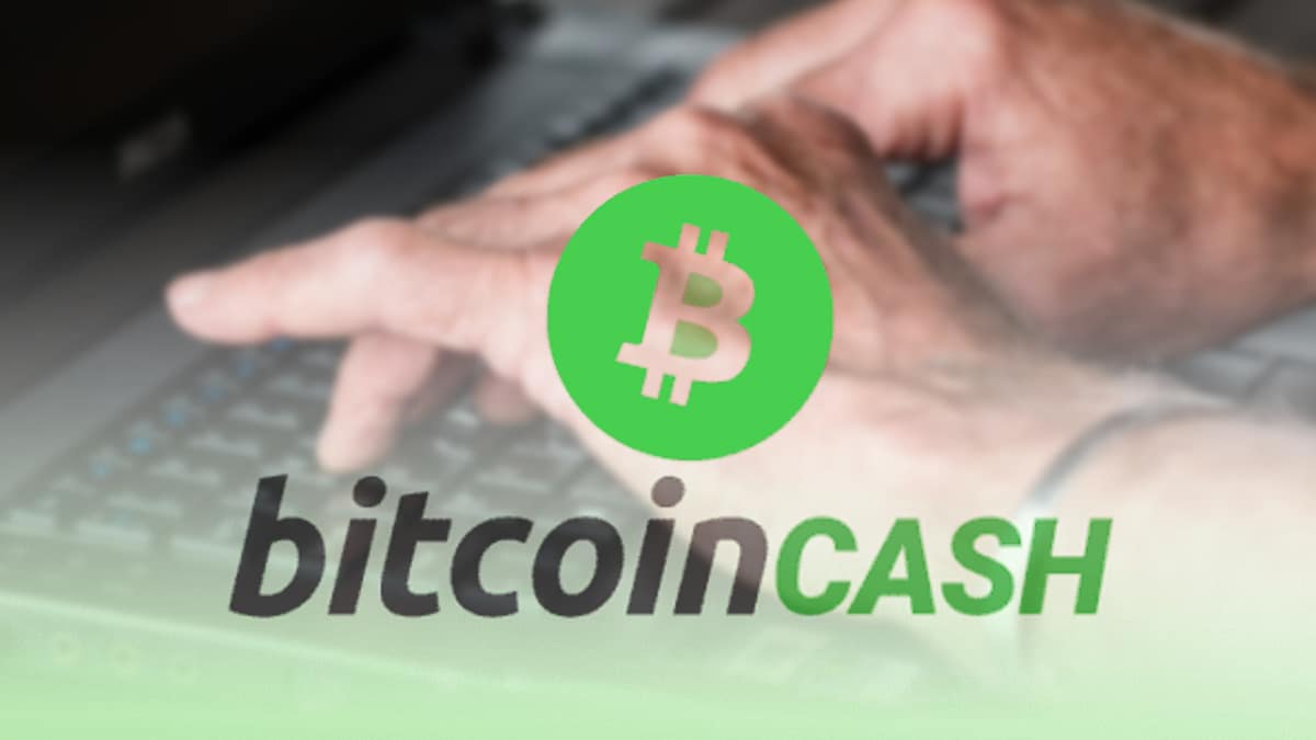 Se disparó Bitcoin Cash: su precio subió más del 27% - Cripto247 - Últimas  noticias sobre Bitcoin, Ethereum, blockchain y criptomonedas
