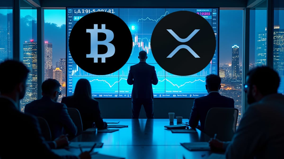 A Cuánto Podría Subir El Precio De XRP Antes del Halving de Bitcoin 2028 -  Cripto247 - Últimas noticias sobre Bitcoin, Ethereum, blockchain y  criptomonedas