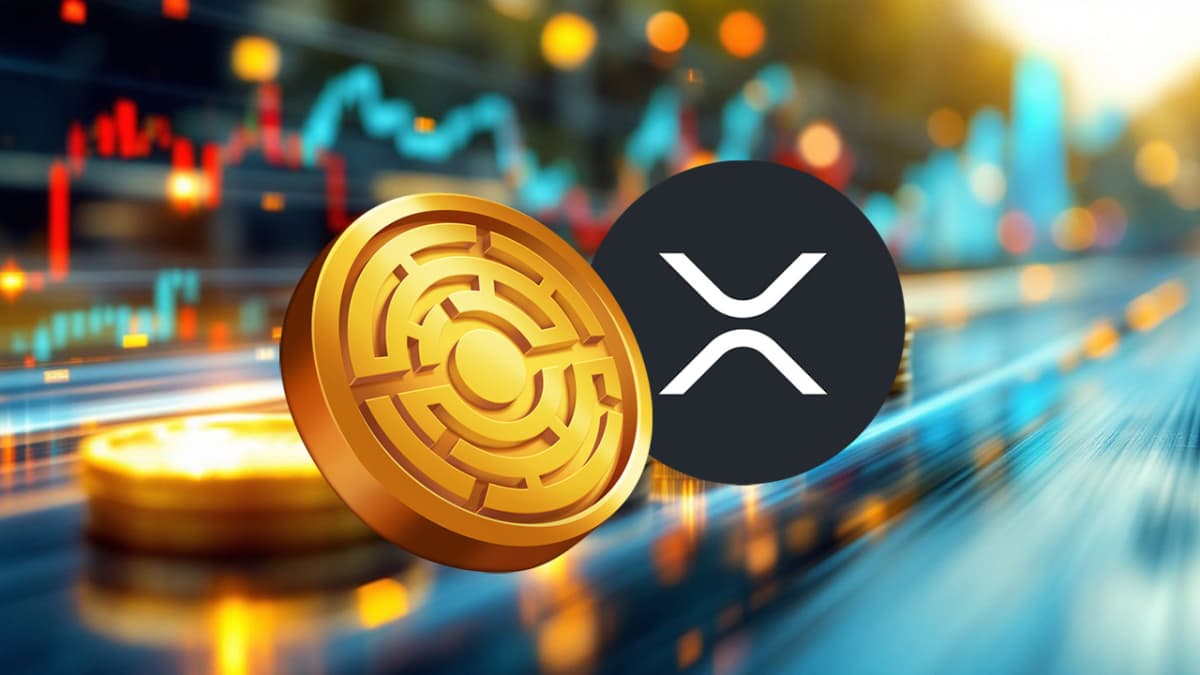 Un experto dice que es muy posible que el XRP alcance los 100-1000 dólares:  esta es la cronología - Cripto247 - Últimas noticias sobre Bitcoin,  Ethereum, blockchain y criptomonedas