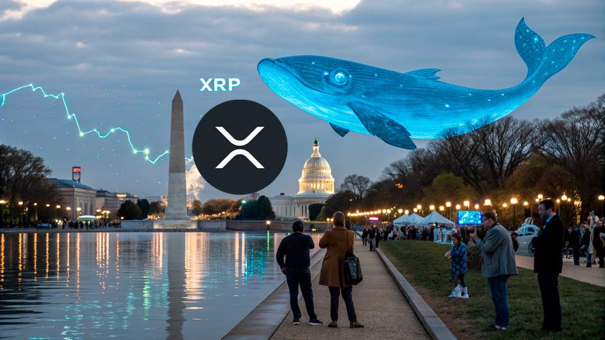 Las ballenas de XRP mueven USD 155 millones mientras Donald Trump invita al  CEO de Ripple a la cumbre de criptomonedas de EEUU - Cripto247 - Últimas  noticias sobre Bitcoin, Ethereum, blockchain y criptomonedas