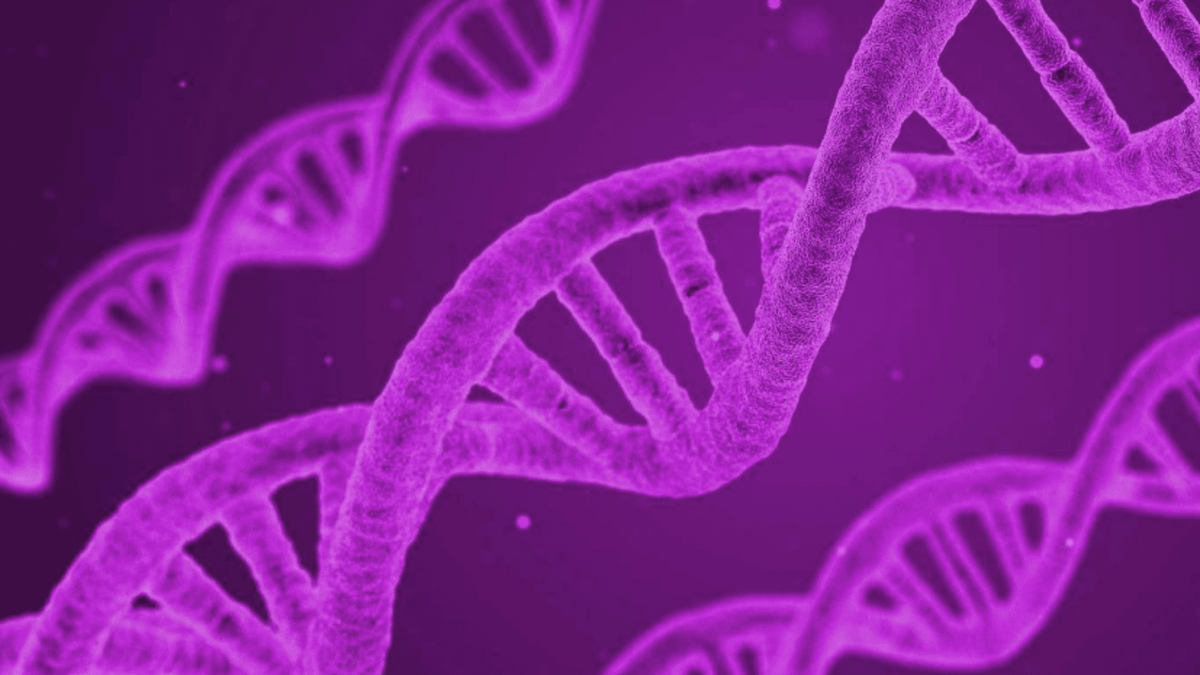 La historia del precio de bitcoin y su evolución - Cripto247 - Últimas  noticias sobre Bitcoin, Ethereum, blockchain y criptomonedas