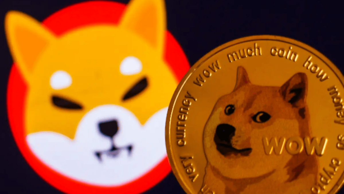 Shiba Inu o Dogecoin: ¿Cuál es mejor y tiene más probabilidades de rendir  más en 2024? - Cripto247 - Últimas noticias sobre Bitcoin, Ethereum,  blockchain y criptomonedas