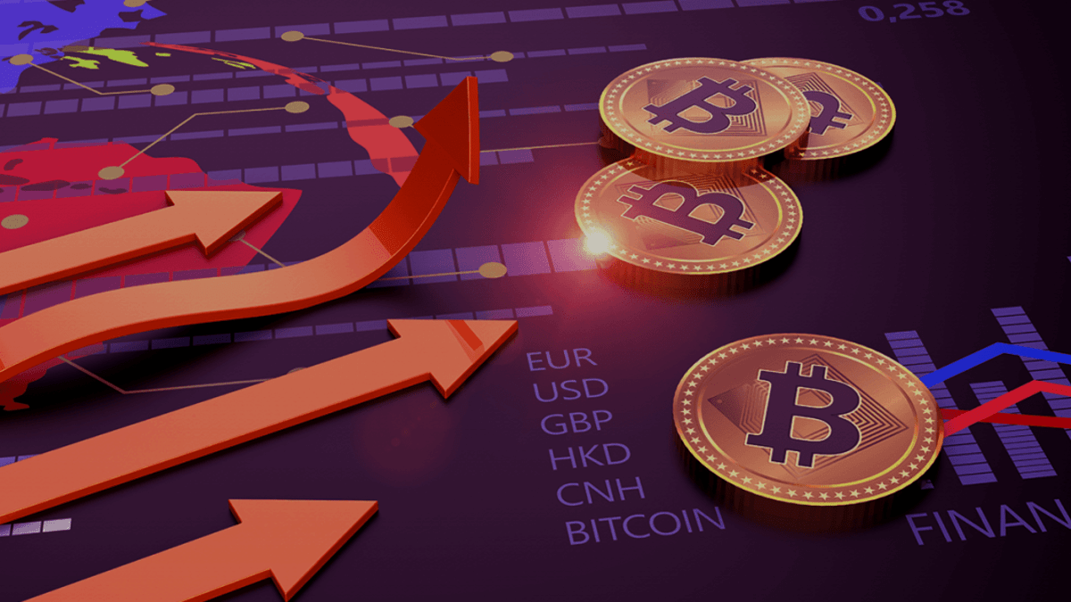 Cómo ingresar en el ecosistema cripto, en 8 simples pasos, parte II: cómo  elegir un exchange - Cripto247 - Últimas noticias sobre Bitcoin, Ethereum,  blockchain y criptomonedas