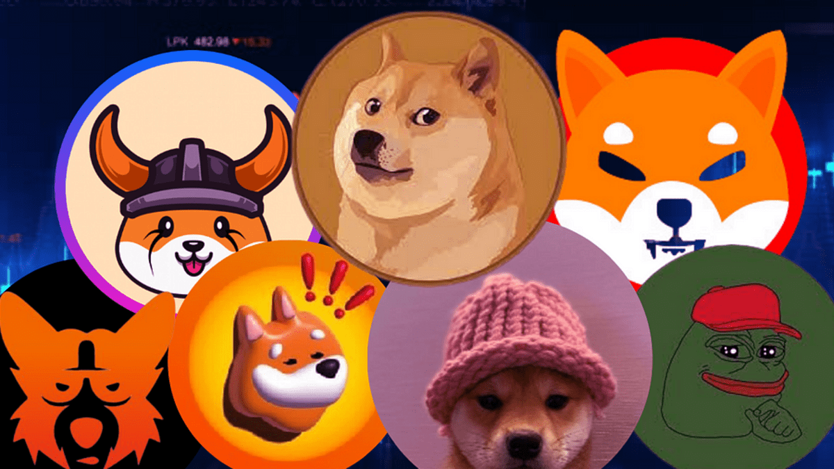 Memecoins: cuáles son las razones de su auge y qué se debe tener en cuenta  antes de invertir en ellas - Cripto247 - Últimas noticias sobre Bitcoin,  Ethereum, blockchain y criptomonedas