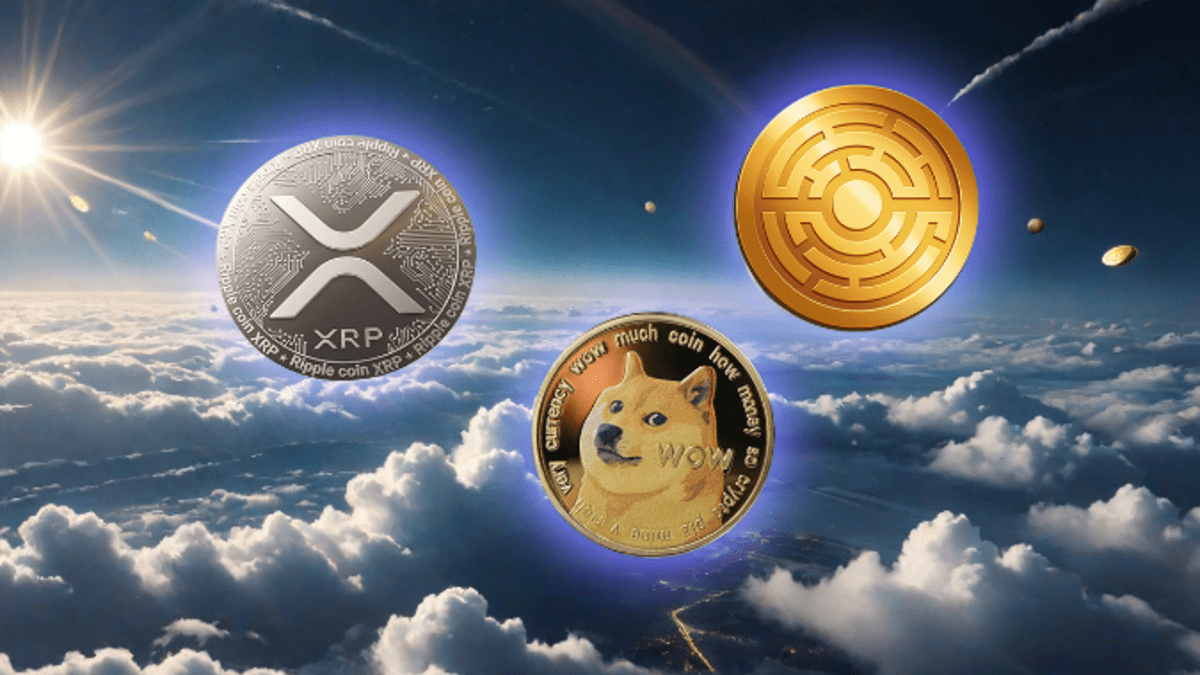 Se prevé que 3 monedas se disparen hasta un 700% en febrero de 2025 -  Cripto247 - Últimas noticias sobre Bitcoin, Ethereum, blockchain y  criptomonedas