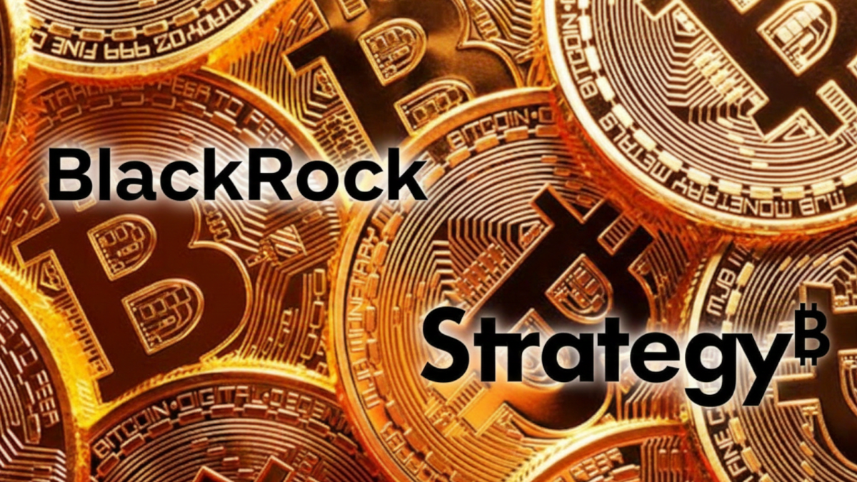 Cuántos BTC tienen BlackRock y Strategy, y qué porcentaje del total del  suministo de bitcoin acumulan - Cripto247 - Últimas noticias sobre Bitcoin,  Ethereum, blockchain y criptomonedas