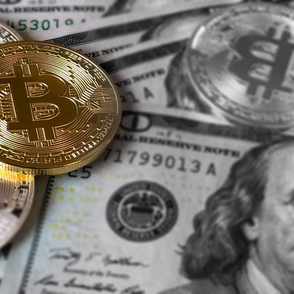 Puede llegar el precio de bitcoin a los USD 14.000 antes de fin de año? -  Cripto247 - Últimas noticias sobre Bitcoin, Ethereum, blockchain y  criptomonedas