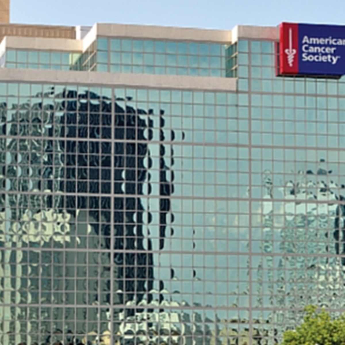 BitPay posibilitó las donaciones en bitcoin para tratamientos de cáncer -  Cripto247 - Últimas noticias sobre Bitcoin, Ethereum, blockchain y  criptomonedas