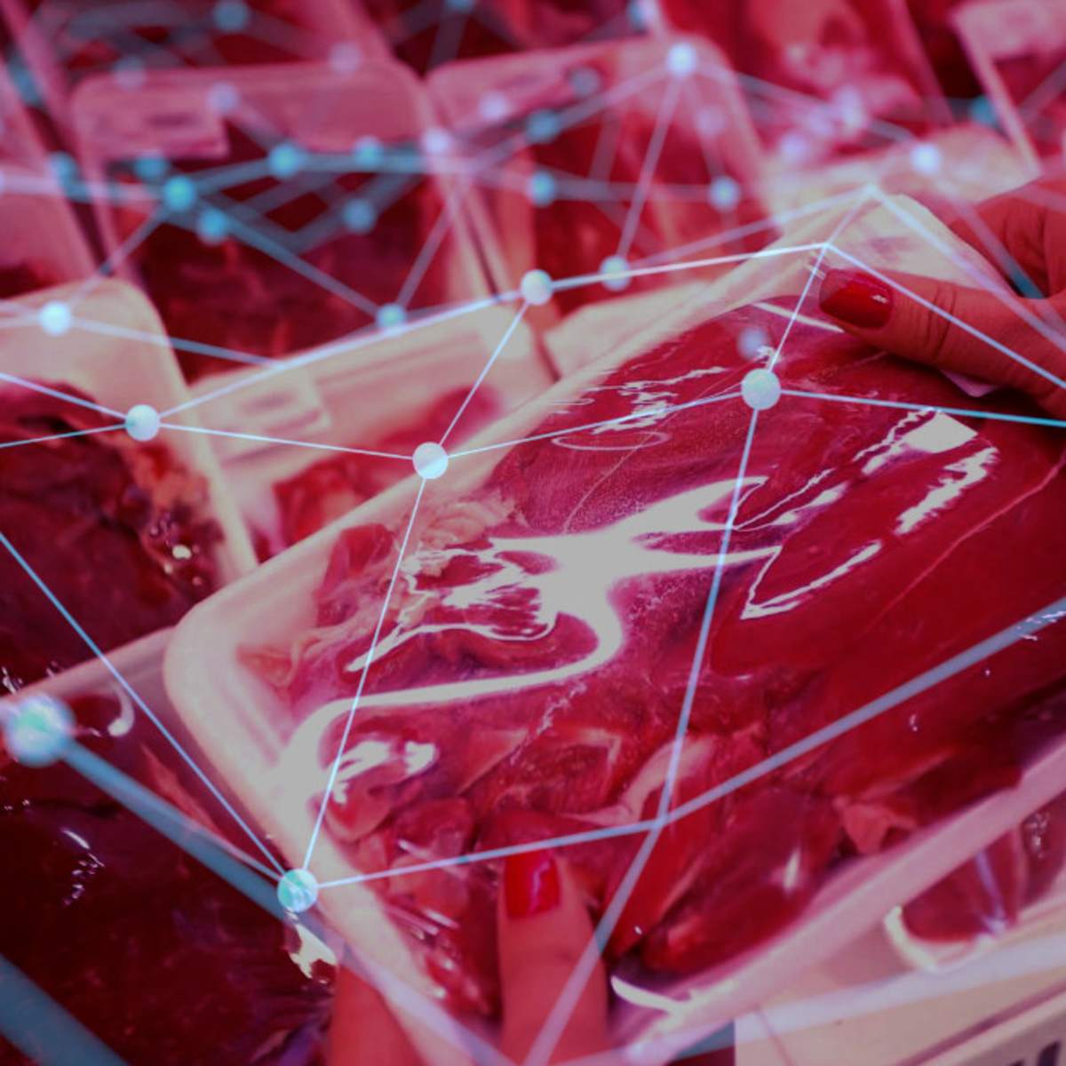 Ya es posible garantizar con Blockchain trazabilidad en la cadena de  suministro de carnes - Cripto247 - Últimas noticias sobre Bitcoin, Ethereum,  blockchain y criptomonedas