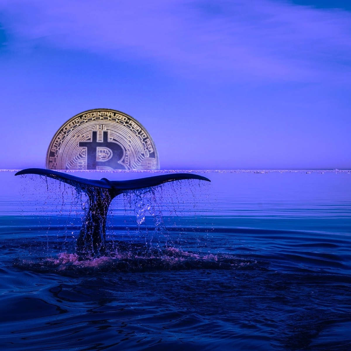 El precio de Bitcoin se recupera luego de una histórica venta de 80.000 BTC  - Cripto247 - Últimas noticias sobre Bitcoin, Ethereum, blockchain y  criptomonedas