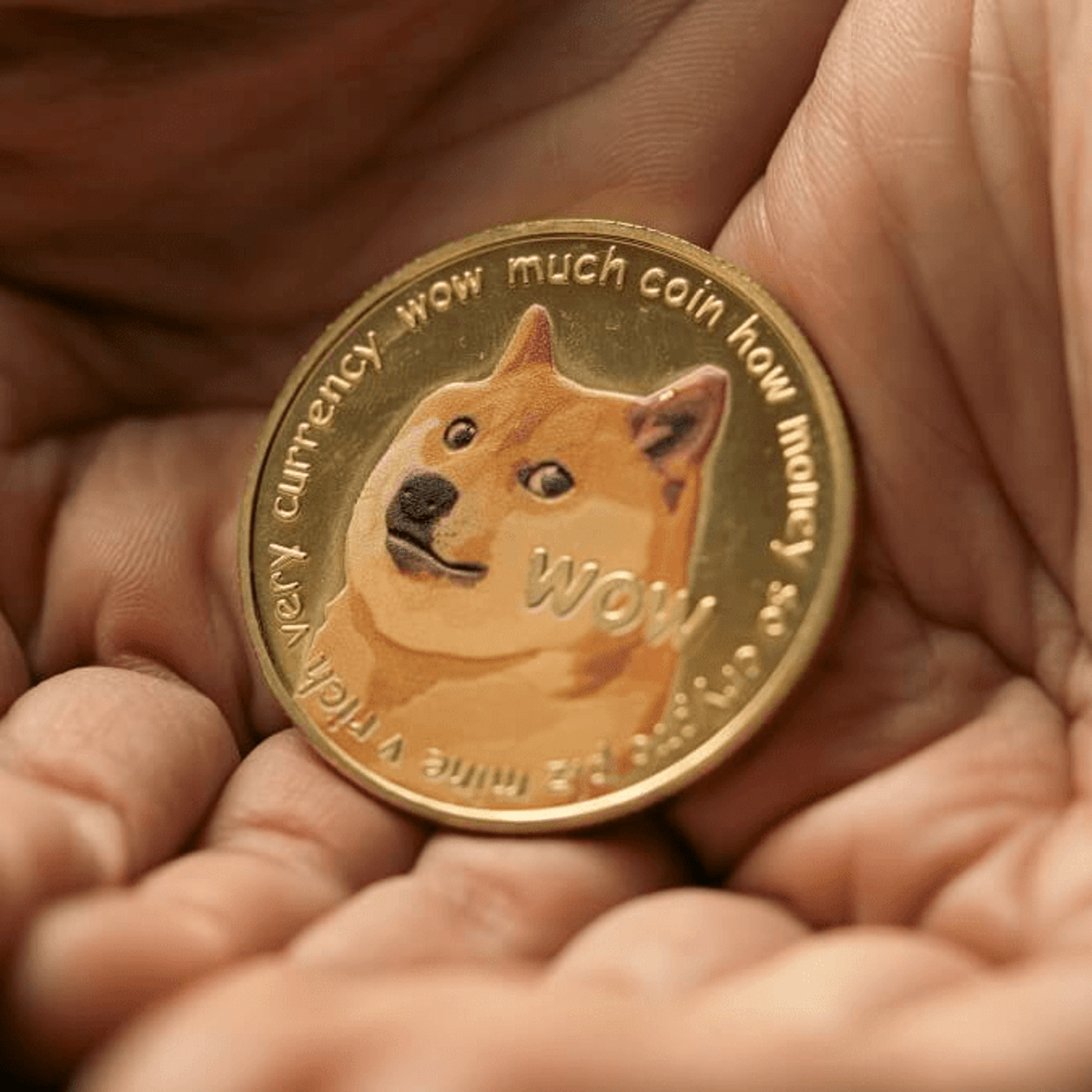 Es demasiado tarde para comprar Dogecoin? - Cripto247 - Últimas noticias  sobre Bitcoin, Ethereum, blockchain y criptomonedas