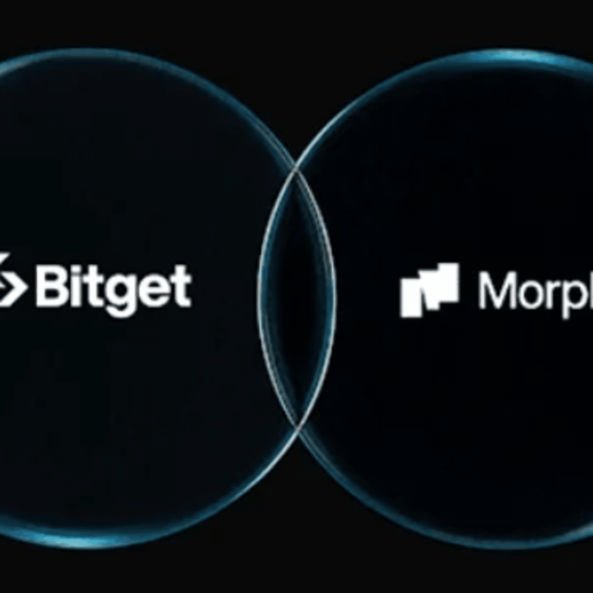 BGB gana utilidad: será el token de gas y gobernanza en la blockchain Morph  - Cripto247 - Últimas noticias sobre Bitcoin, Ethereum, blockchain y  criptomonedas