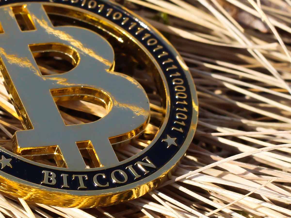 Expectativa por el precio de BTC luego del halving - Cripto247 - Últimas  noticias sobre Bitcoin, Ethereum, blockchain y criptomonedas