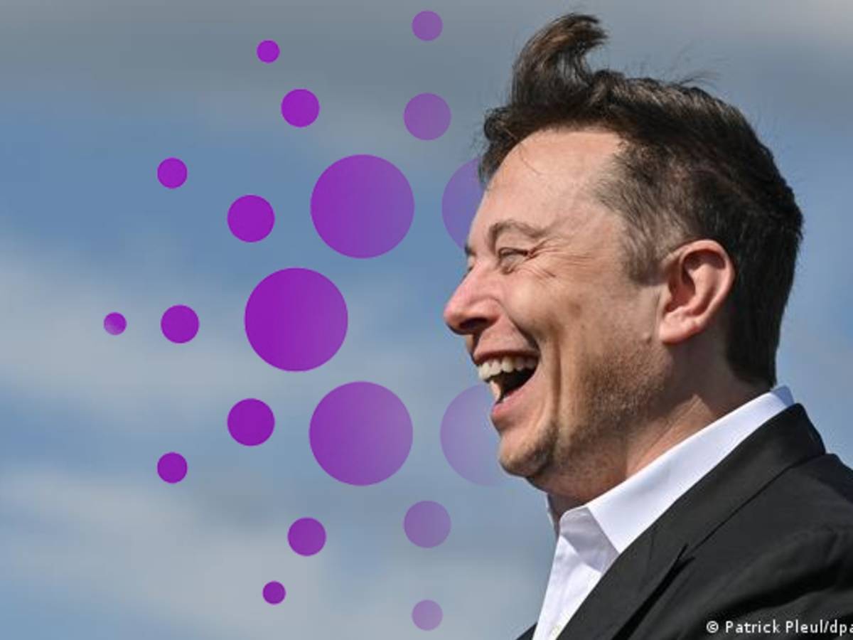 El fundador de Cardano presiona a Elon Musk para que incorpore pagos en ADA  a Tesla - Cripto247 - Últimas noticias sobre Bitcoin, Ethereum, blockchain  y criptomonedas