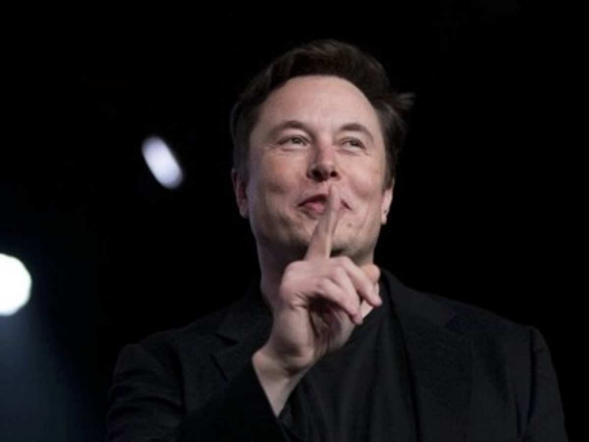 Cuántos bitcoins tiene Elon Musk? - Cripto247 - Últimas noticias sobre  Bitcoin, Ethereum, blockchain y criptomonedas