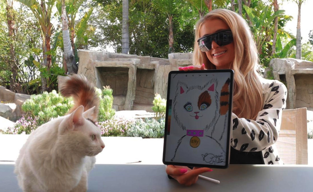 Paris Hilton subastó en Ethereum un dibujo de su gato y consiguió ETH 40  (USD 17.000) - Cripto247 - Últimas noticias sobre Bitcoin, Ethereum,  blockchain y criptomonedas