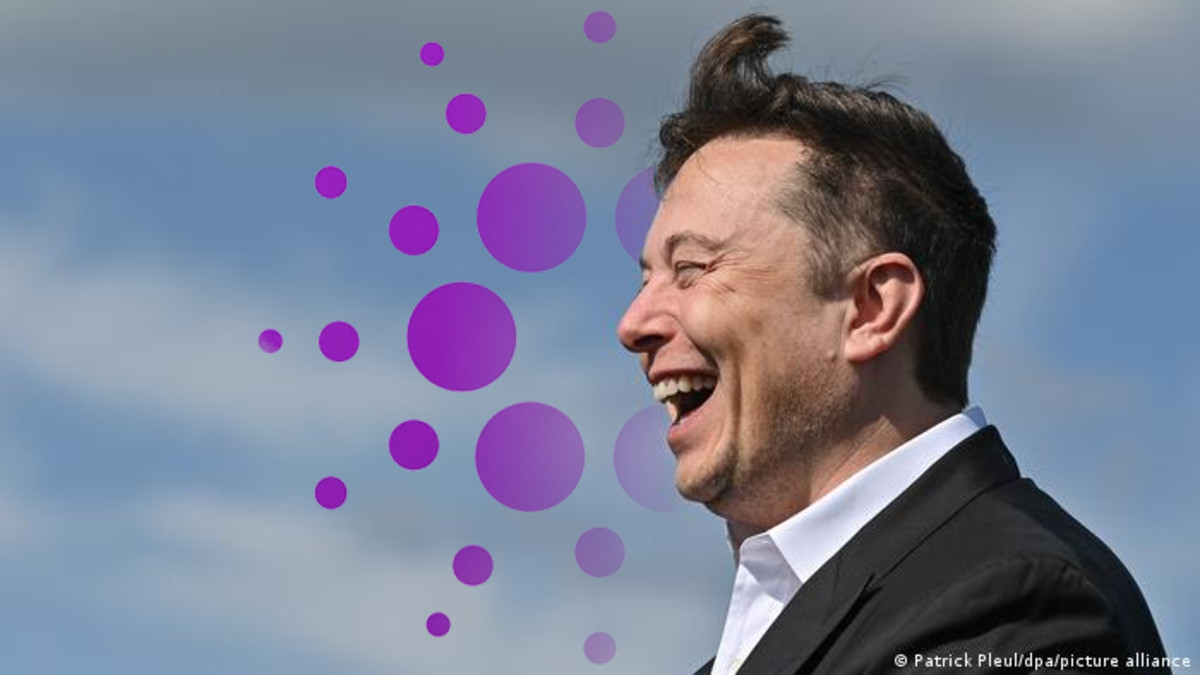 El fundador de Cardano presiona a Elon Musk para que incorpore pagos en ADA  a Tesla - Cripto247 - Últimas noticias sobre Bitcoin, Ethereum, blockchain  y criptomonedas