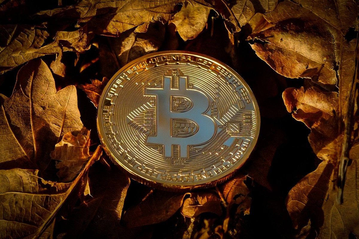 Precio de Bitcoin: BTC crece un 5% y supera nuevamente los USD 9000 -  Cripto247 - Últimas noticias sobre Bitcoin, Ethereum, blockchain y  criptomonedas