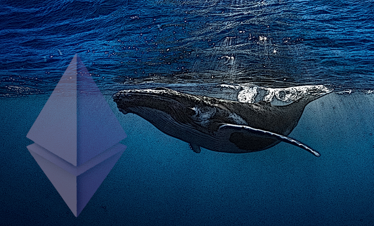 Movimientos de Grandes Ballenas de Ethereum Sacuden el Mercado Cripto -  Cripto247 - Últimas noticias sobre Bitcoin, Ethereum, blockchain y  criptomonedas