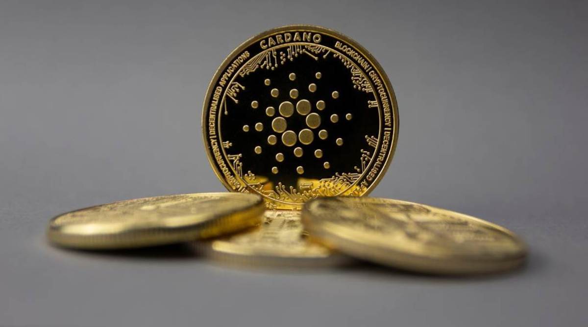 Las 3 mejores criptomonedas en las que invertir para conseguir la libertad  financiera: Cardano (ADA), Pepe (PEPE) e InQubeta (QUBE) - Cripto247 -  Últimas noticias sobre Bitcoin, Ethereum, blockchain y criptomonedas