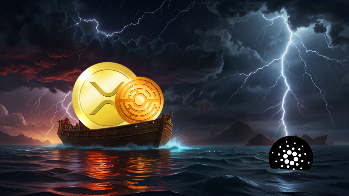 Cardano cae 86%? El alza de 9.999.900% de MTAUR llama la atención -  Cripto247 - Últimas noticias sobre Bitcoin, Ethereum, blockchain y  criptomonedas