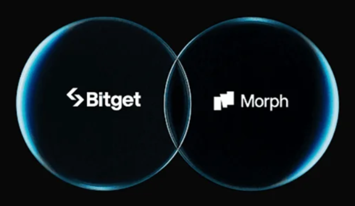 BGB gana utilidad: será el token de gas y gobernanza en la blockchain Morph  - Cripto247 - Últimas noticias sobre Bitcoin, Ethereum, blockchain y  criptomonedas
