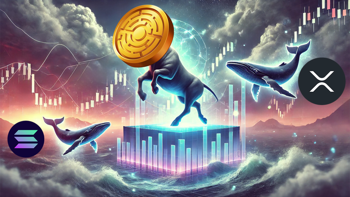 Por qué las ballenas se están pasando a MTAUR desde XRP y SOL - Cripto247 -  Últimas noticias sobre Bitcoin, Ethereum, blockchain y criptomonedas