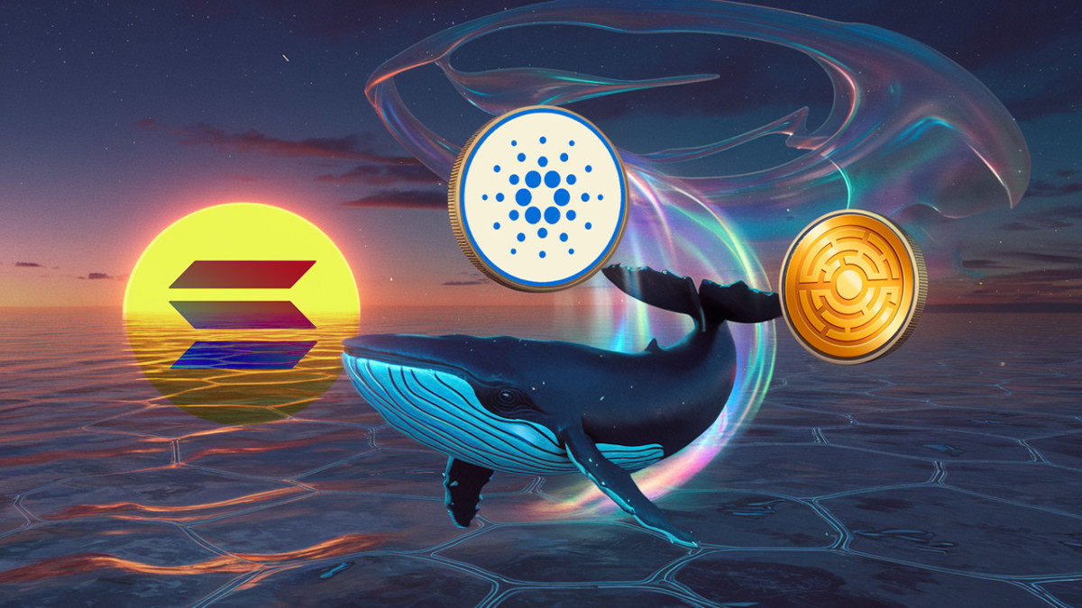 El precio de SOL sube: El interés de las ballenas en ADA y esta moneda  Minotaurus (MTAUR) podrían desencadenar una subida masiva - Cripto247 -  Últimas noticias sobre Bitcoin, Ethereum, blockchain y criptomonedas