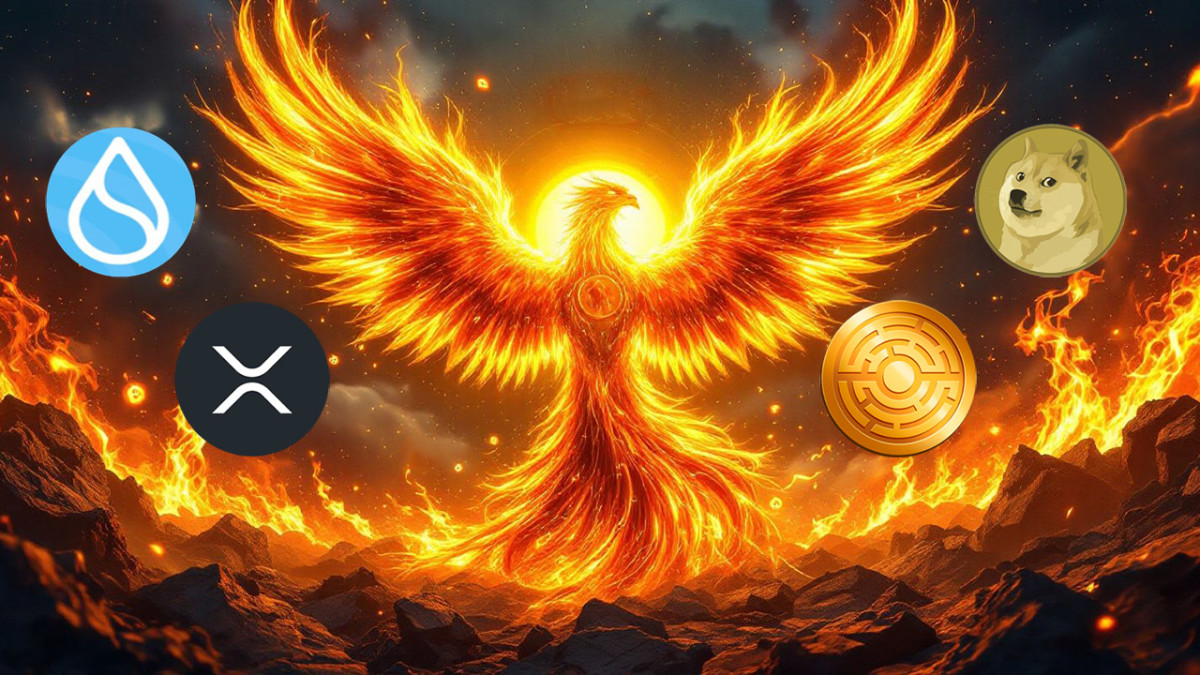 Sui, DOGE, XRP: 4 monedas preparadas para repuntar tras la caída de  precios. - Cripto247 - Últimas noticias sobre Bitcoin, Ethereum, blockchain  y criptomonedas