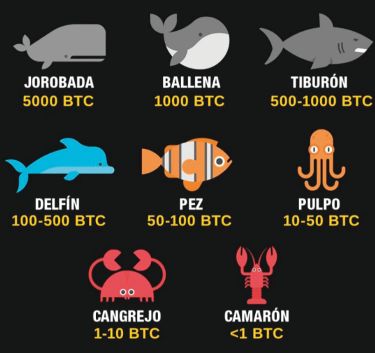 Camarón, tiburón o ballena? Así es el océano cripto: tipos de inversores  según la cantidad de BTC que poseen - Cripto247 - Últimas noticias sobre  Bitcoin, Ethereum, blockchain y criptomonedas