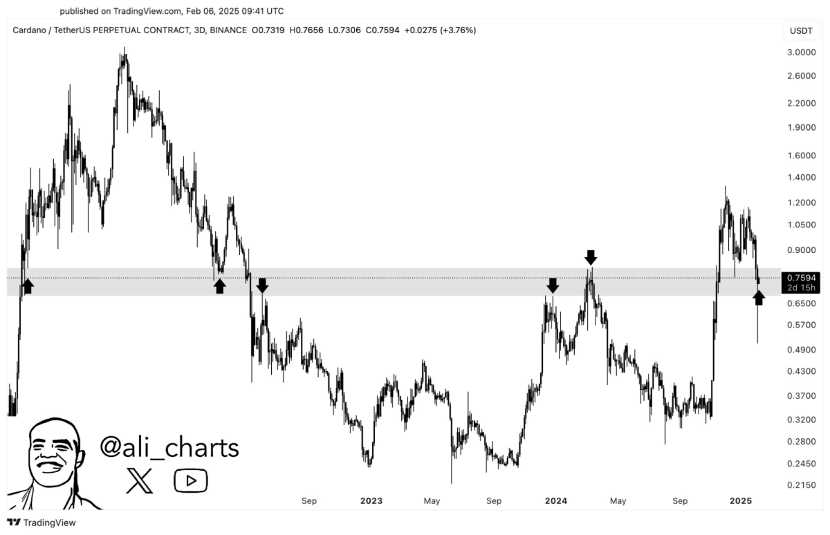 Es la caída de Cardano un problema a corto plazo? XRP en ascenso -  Cripto247 - Últimas noticias sobre Bitcoin, Ethereum, blockchain y  criptomonedas