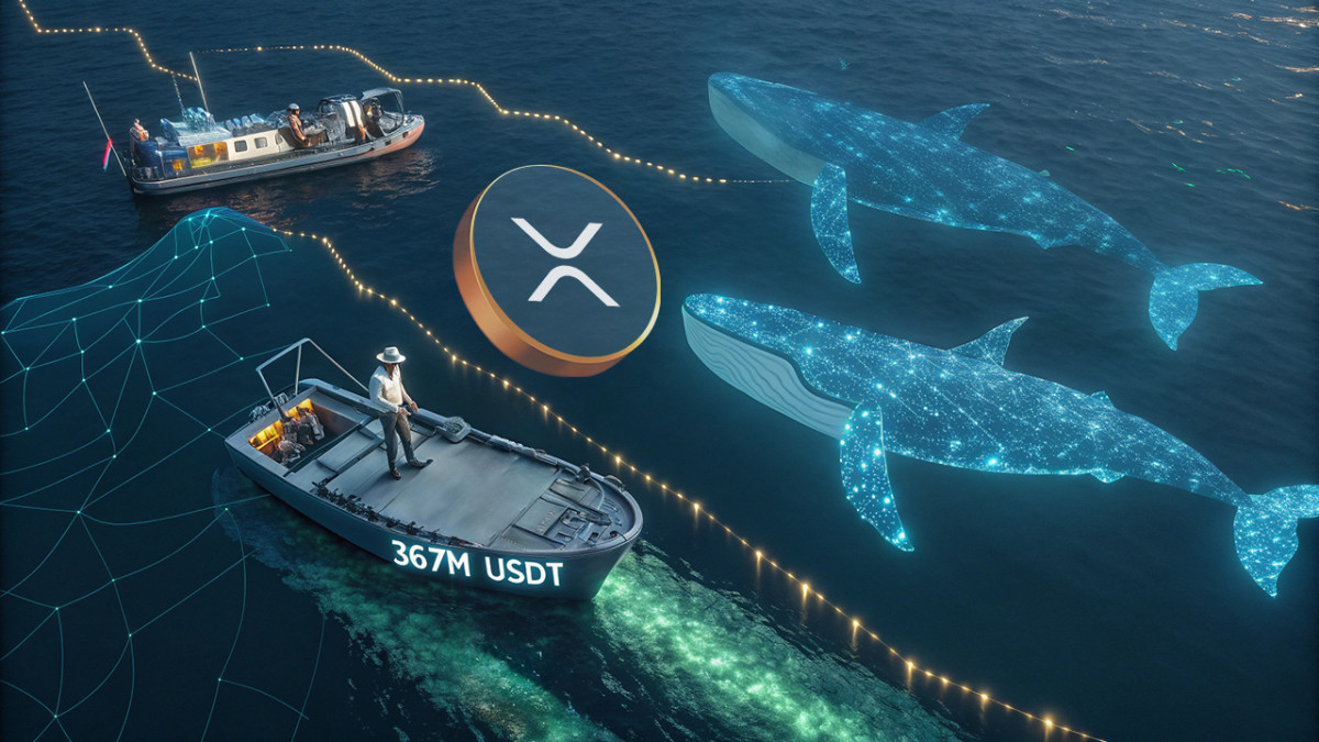 Las ballenas de XRP mueven 367 millones de dólares mientras un analista  predice un potencial rally masivo - Cripto247 - Últimas noticias sobre  Bitcoin, Ethereum, blockchain y criptomonedas