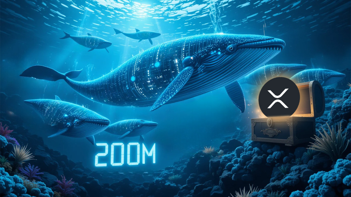 Las ballenas de XRP mueven 200 millones, ¿se acerca una subida del precio  de XRP? - Cripto247 - Últimas noticias sobre Bitcoin, Ethereum, blockchain  y criptomonedas