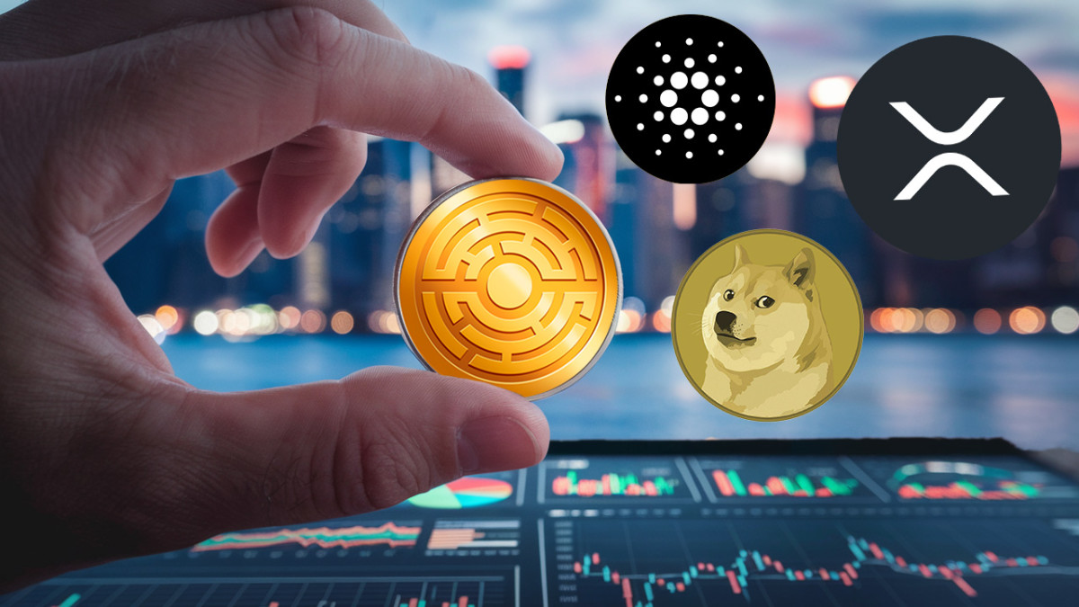 Estas monedas podrían ser oportunidades perdidas inolvidables en crypto  para 2030 - Cripto247 - Últimas noticias sobre Bitcoin, Ethereum, blockchain  y criptomonedas